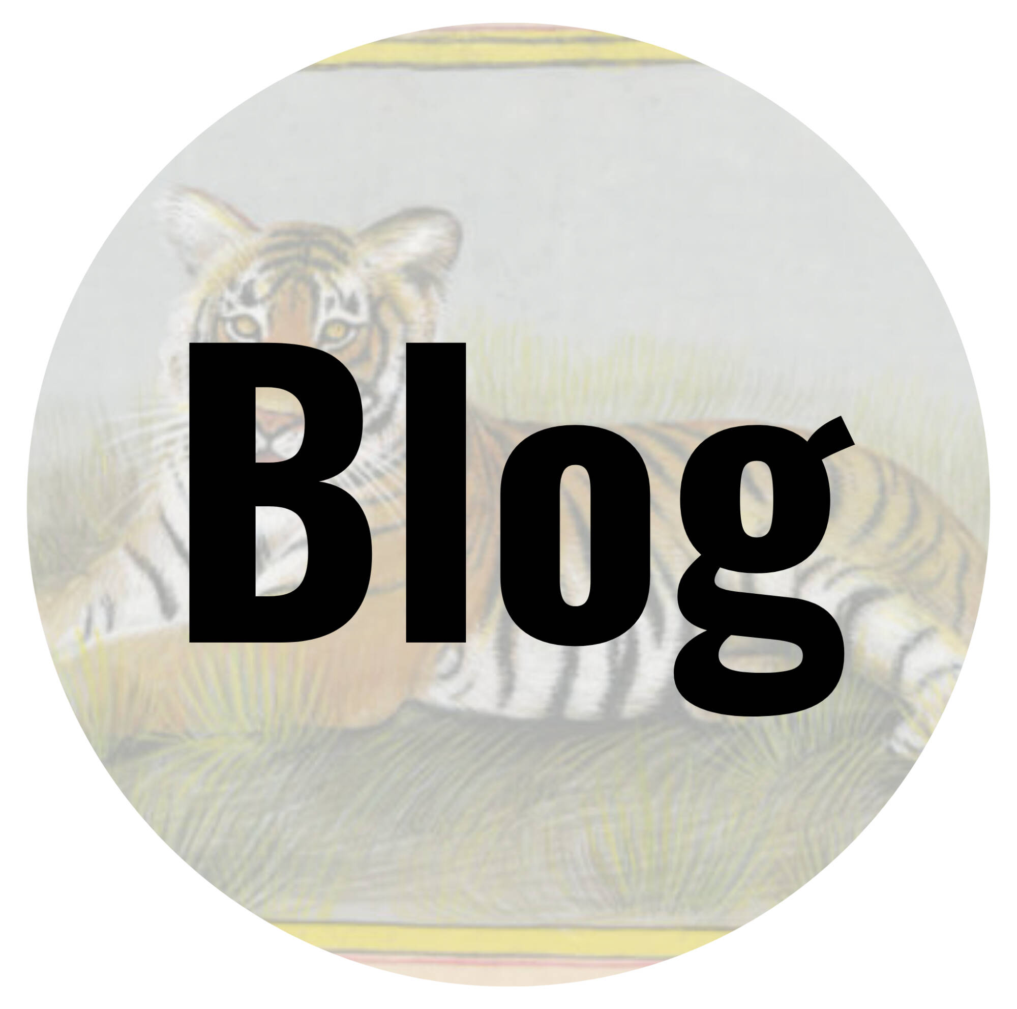 Click to read the blog "Tiny Art, Big Stories: The History of Mughal Miniature Paintings"
